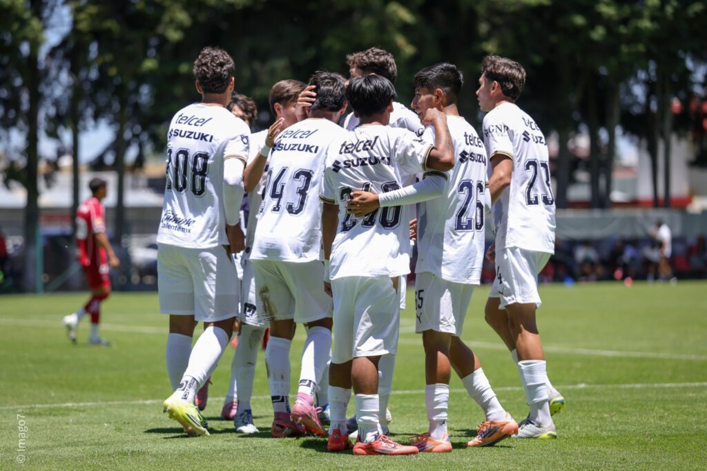 PUMAS,